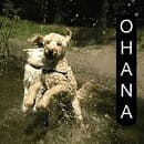 Ohana