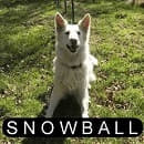 Snowball